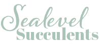 Sealevel Succulents